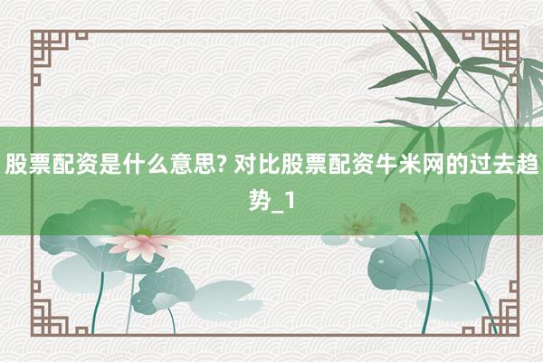 股票配资是什么意思? 对比股票配资牛米网的过去趋势_1