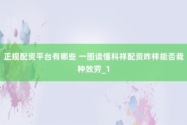 正规配资平台有哪些 一图读懂科祥配资咋样能否栽种效劳_1